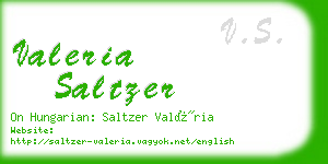 valeria saltzer business card